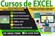 CLASES de EXCEL a domicilio en Naucalpan