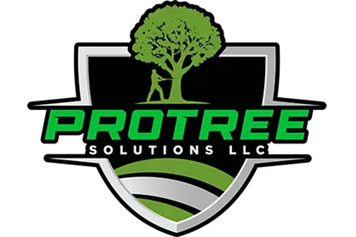 PROTREE SOLUTION LLC image 4
