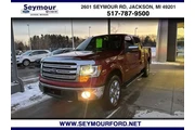 Ford F-150 2014 4x4 Lariat 4 en Detroit