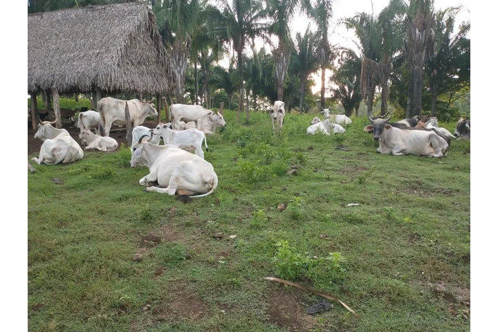 ¡SE VENDE ISLA EN VERACRUZ! image 3