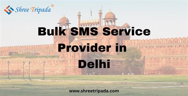 Bulk SMS provider in Delhi image 1