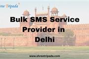 Bulk SMS provider in Delhi