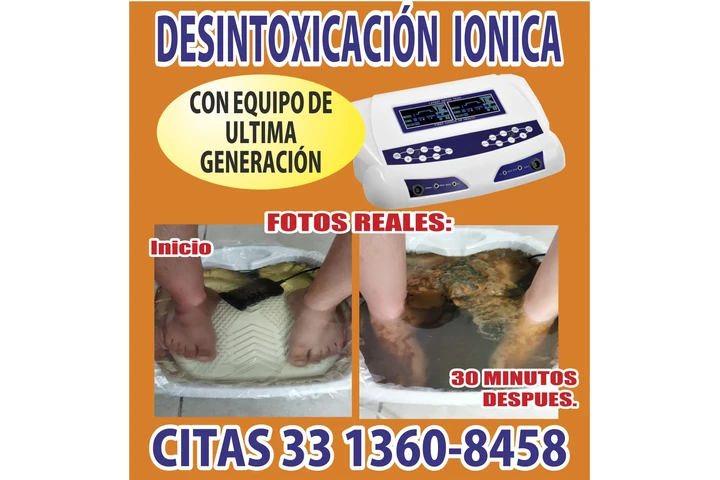 Desintoxicacion Ionica image 1