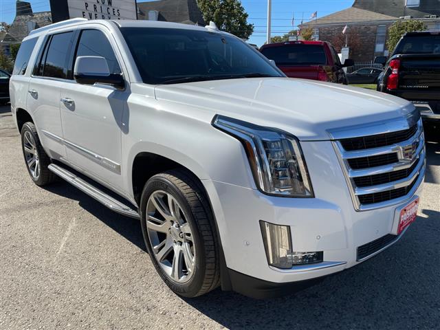 2019 Escalade 2WD 4dr Luxury image 3