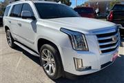 2019 Escalade 2WD 4dr Luxury thumbnail