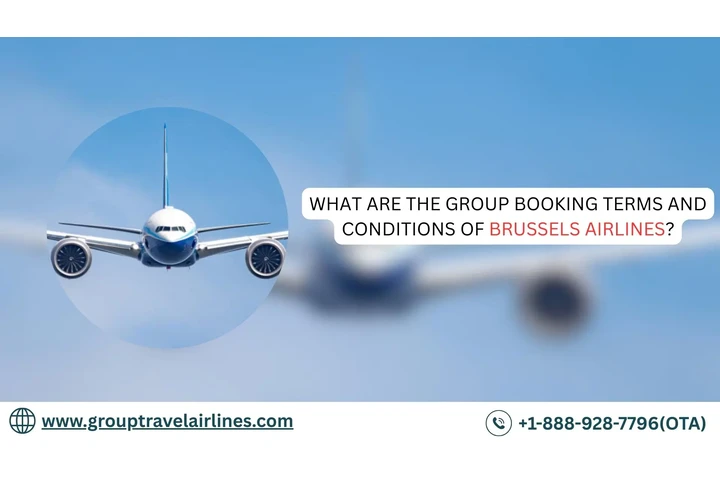 Brussels Airlines Group Travel image 1
