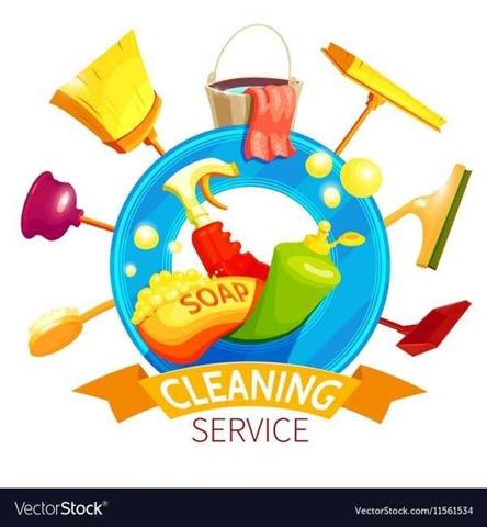 Professional Cleaning image 1