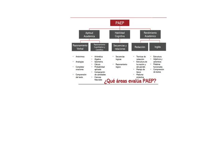 Preparación examen PAEP image 1