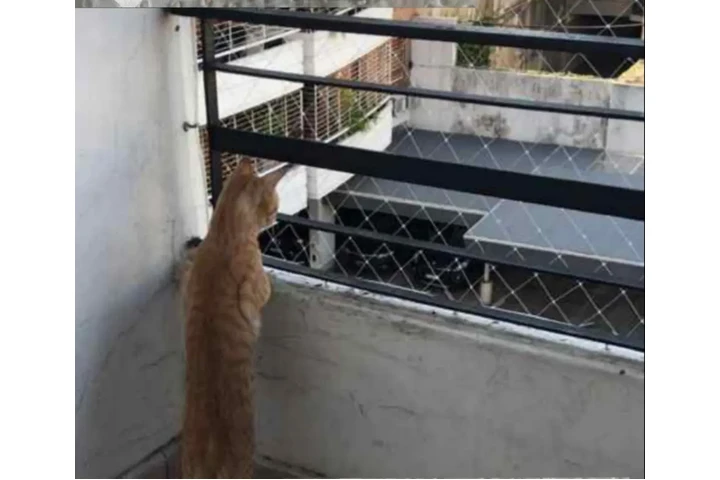 Redes de Protección Cuidemos image 6