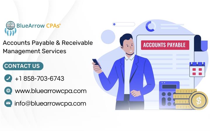 Accounts Payable & Receivable image 1