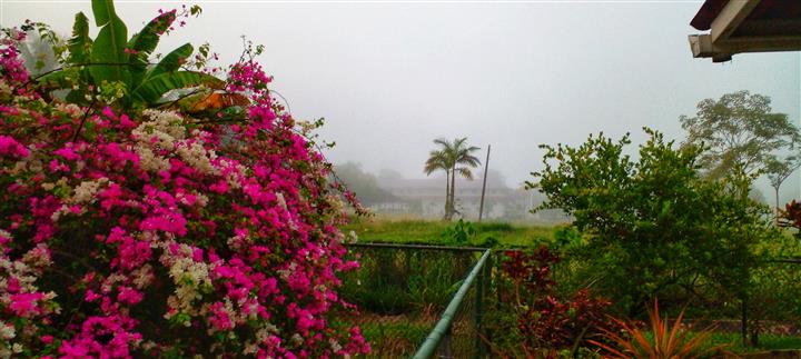 $275000 : House for sale, Howard Panamá image 3