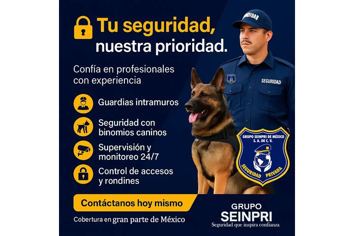 🔒 GRUPO SEINPRI DE MÉXICO S.A image 1