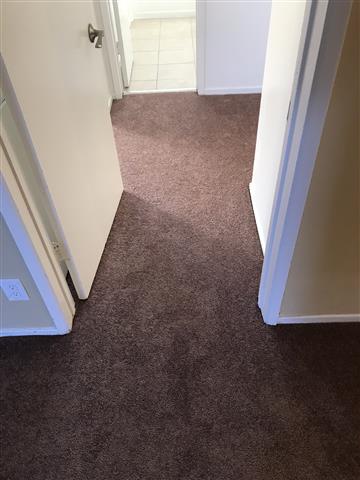 D.M. Carpet image 10