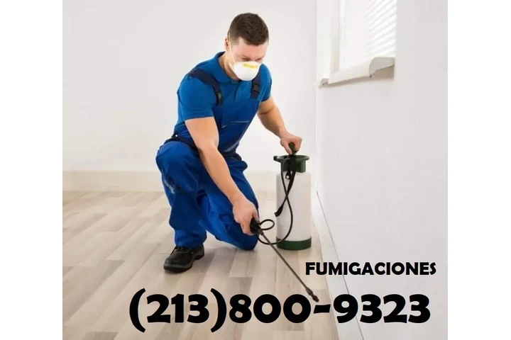 CONTROL TERMITAS (213)800-9323 image 5