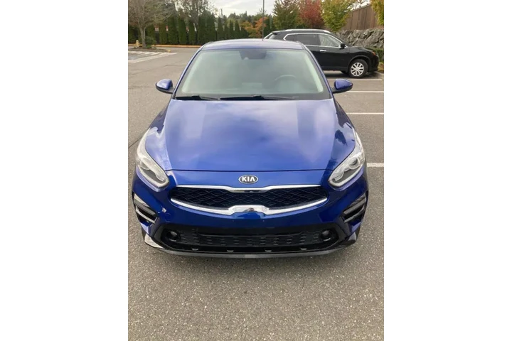 $9900 : 2019 Forte S image 6