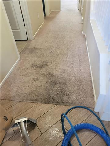 🧼 Arizmendi's Carpet Cleaning image 5