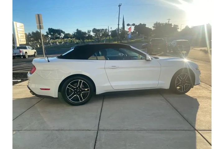 $23588 : Ford Mustang 2023 EcoBoost P image 9