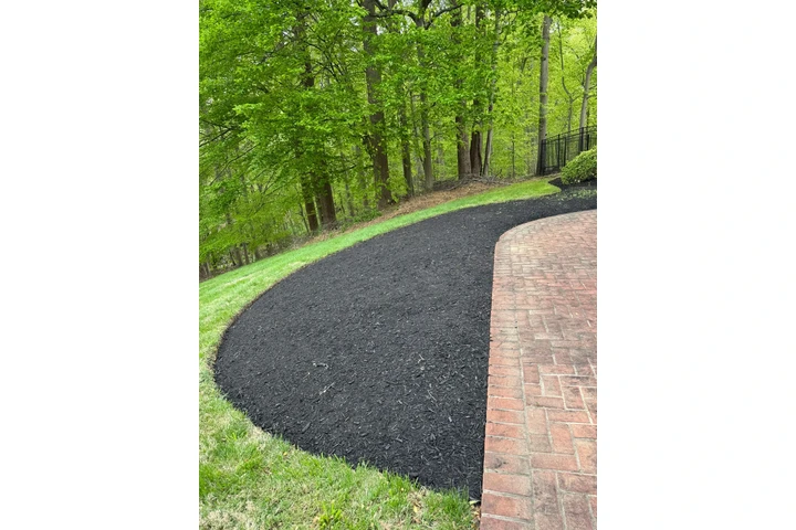 🌳HIDALGO LANDSCAPING SERVICES image 2