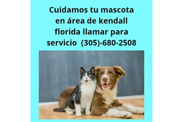 Pet Care Kendall Florida image 3