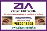 Bedbugs services near me  | Zi