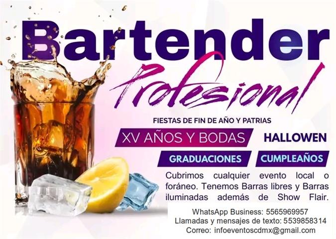 Bartender, Show flair y Barras image 1