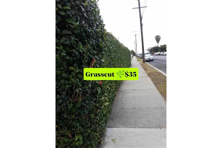 Jardinero $35🍀🌿💳📱 image 9
