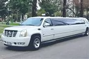 Limo Rentals