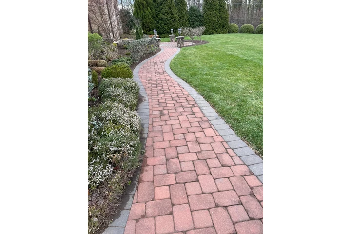 🌳HIDALGO LANDSCAPING SERVICES image 6