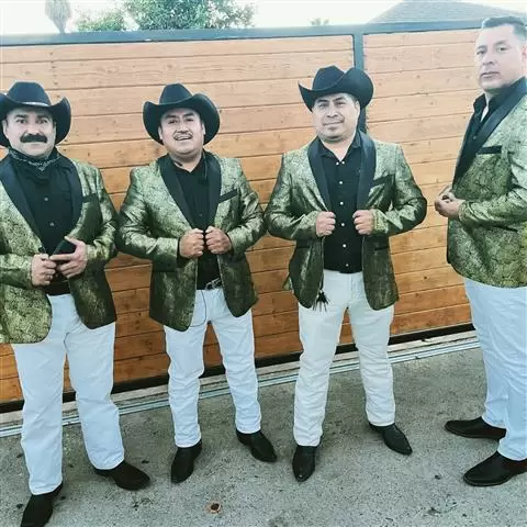 ACENDADO NORTEÑO image 1