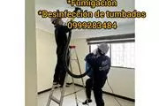 FUMIGACION - INSECTOS en Guayaquil