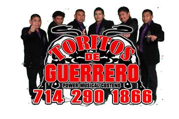 Toritos De Guerrero image 3