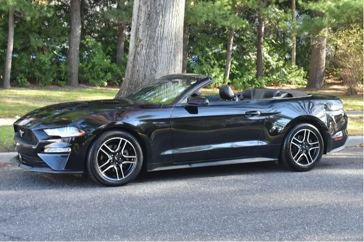 $13995 : Ford Mustang 2019 EcoBoost 2 image 2