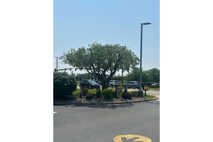 Capacs Lawncare and Landscapin image 7