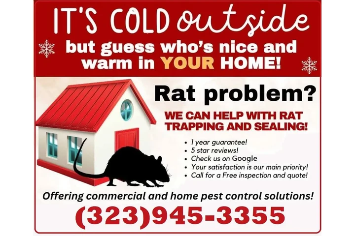 FUMIGACIONES SANTA ANA 24/7.- image 3