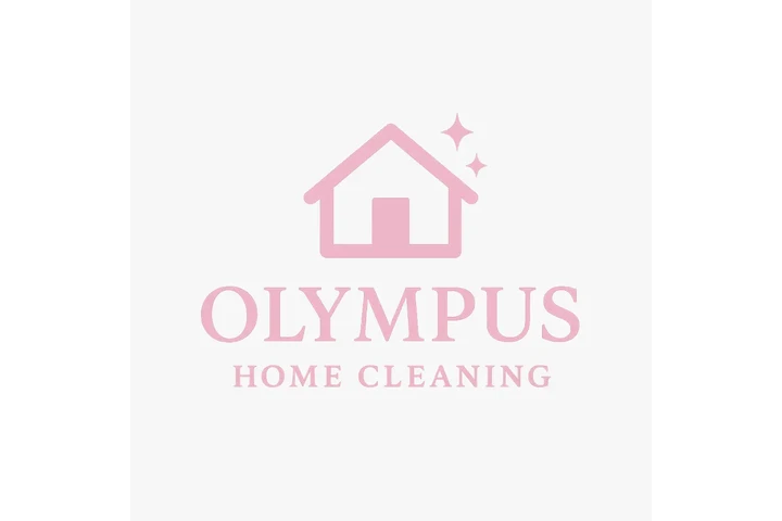 Cleaning service image 1