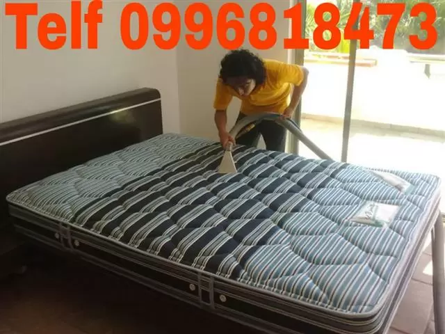 LIMPIEZA DE ASIENTOS DE VEHÍCU image 1