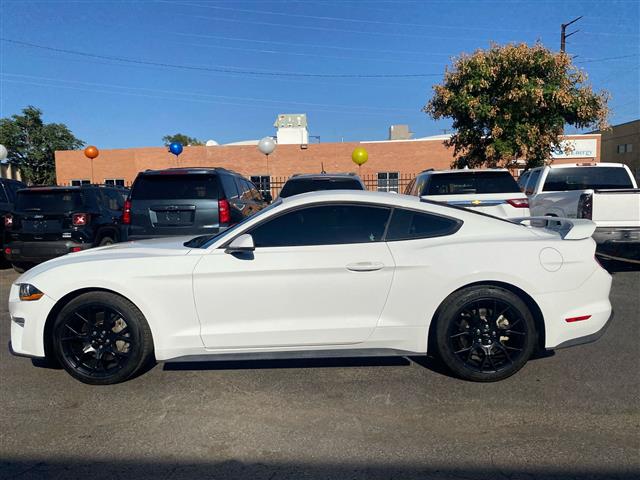 $20369 : 2019 Mustang EcoBoost Premium image 3