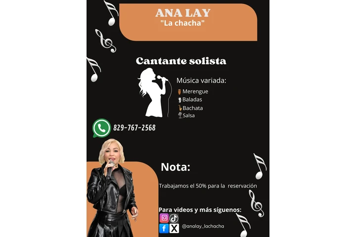 Cantante solista image 1