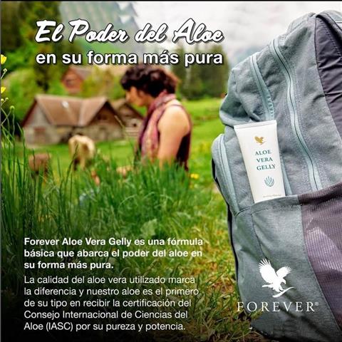 Aloe vera productos de Forever image 9