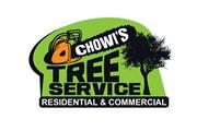 Chowis Tree Services en Little Rock