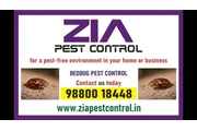 Bed Bug Treatment 100 % 5030 en Springdale