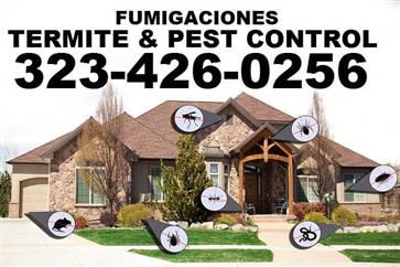 Fumigaciones #1 Termitas 24/7 image 3