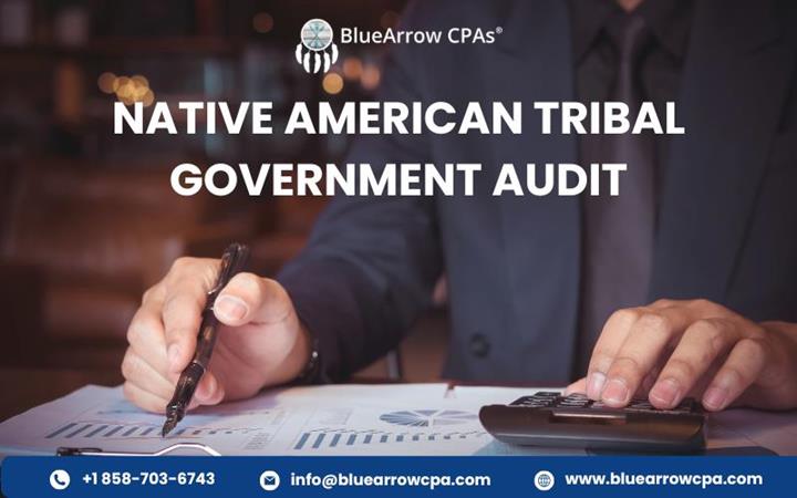 Native American Gov. Audit image 1