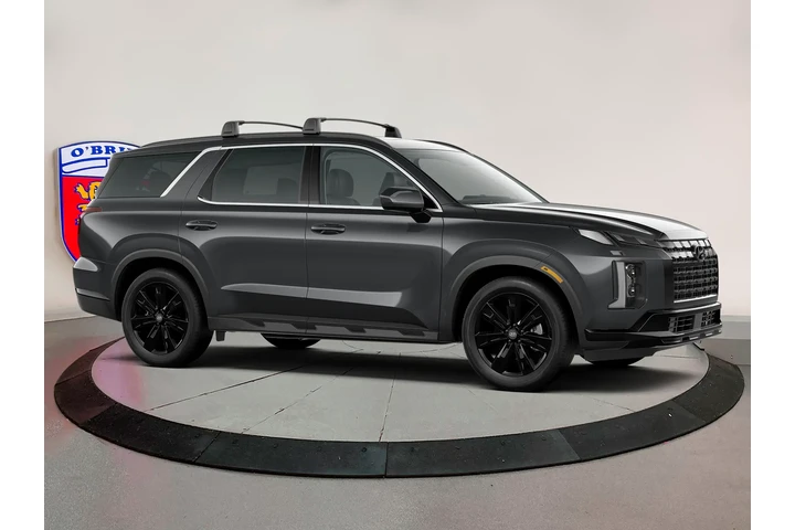 $32900 : Hyundai PALISADE 2023 AWD XR image 10