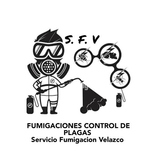 Fumigaciones Velasco image 2