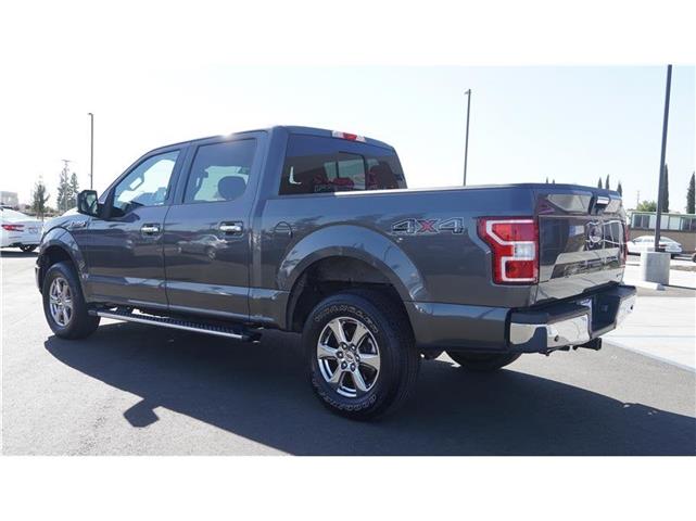 $32998 : 2019 F-150 XLT Pickup 4D 5 1/ image 8