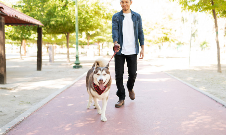 Hombre latino caminando con su mascota en el parque