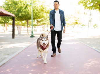 Hombre latino caminando con su mascota en el parque