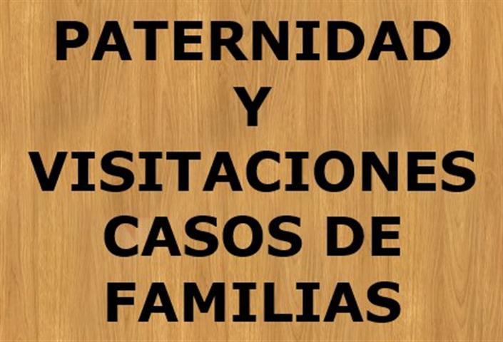 PATERNIDAD Y VISITACIONES image 1