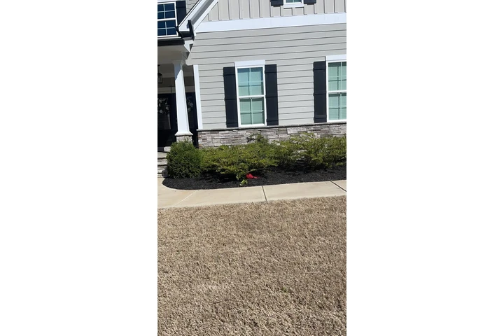 🌲MATIAS LAWN SERVICES🌲 image 4